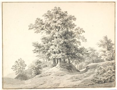 エルベ川沿いの大きな木々のある風景。 ブクステスキン 作： Anton Carl Dusch