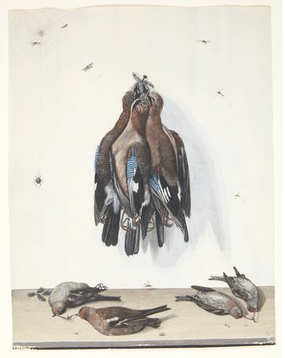 鳥のある静物 作： Anton Ignaz Hamilton