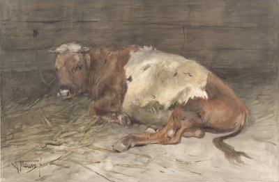 横になっている若い雄牛 作： Anton Mauve