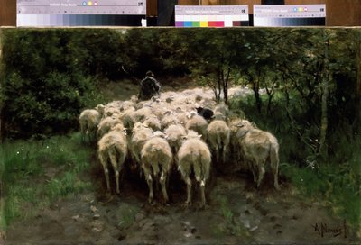 森の中の羊。 森の中の羊。 後ろから見た牛の群れを持つ羊飼い。 Anton Mauve (1838-1888) による絵画。 キャンバスに油彩。 オランダ絵画。 プーシキン美術館、モスクワ 作： Anton Mauve