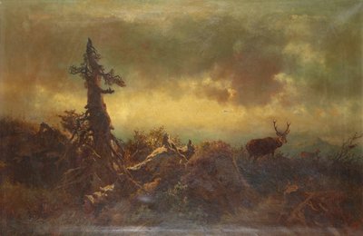 鹿のいる高原 作： Anton Schrodl