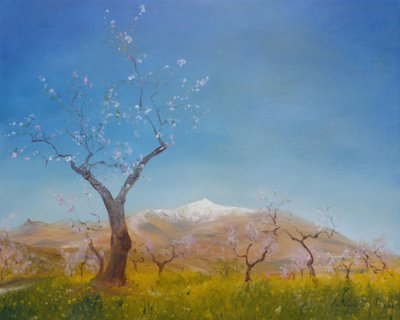雪をかぶったアーモンドブロッサム、シエラネバダ山、2016 作： Antonia Myatt
