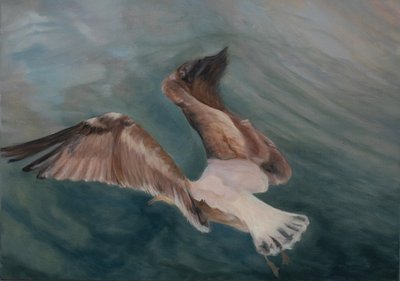 陸に上がってくるカモメ、2012年（キャンバスに油彩） 作： Antonia Myatt