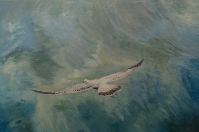 翼を広げたカモメ、2012年（キャンバスに油彩） 作： Antonia Myatt
