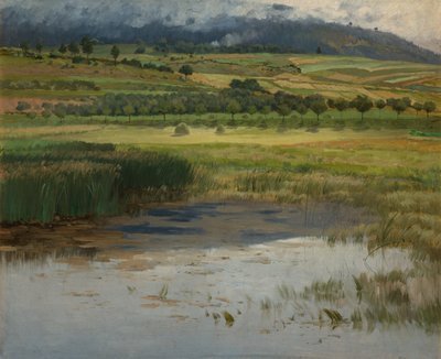 溺れた池、1887 作： Antonin Chittussi