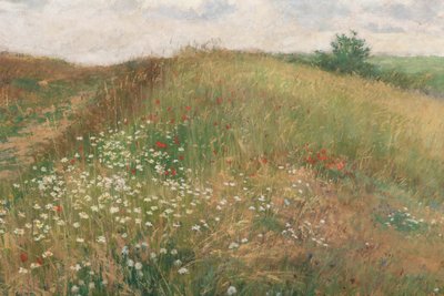 1897年夏。 作： Antonin Slavicek