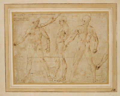 3人の男性ヌード、正面、背面、横顔; ... 作： アントニオ (所属) ポライオーロ