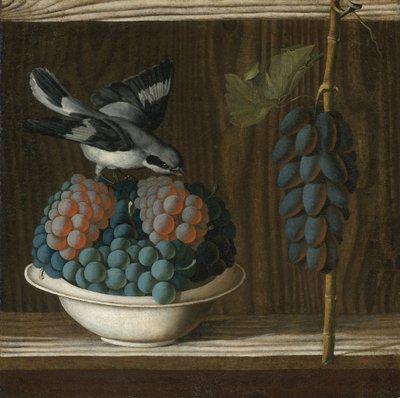 Nature morte avec des raisin et une pie grieche grise (allegorie de la peinture) - ブドウとモズのいる静物画（絵画のアレゴリー） par Leonelli (da Crevalcore), Antonio (c. 1450-before 1525).油彩・キャンバス、サイズ：40x39,7、1500年頃、個人蔵 作： Antonio (fl.1478 1513) Leonelli