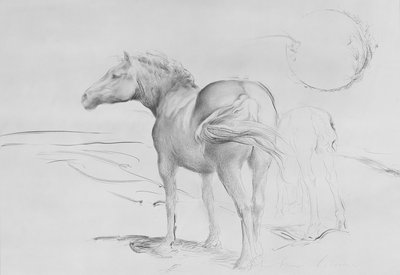 クールモアの馬、1990年（紙に木炭） 作： Antonio Ciccone