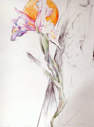 不明な画像 作： Antonio Ciccone