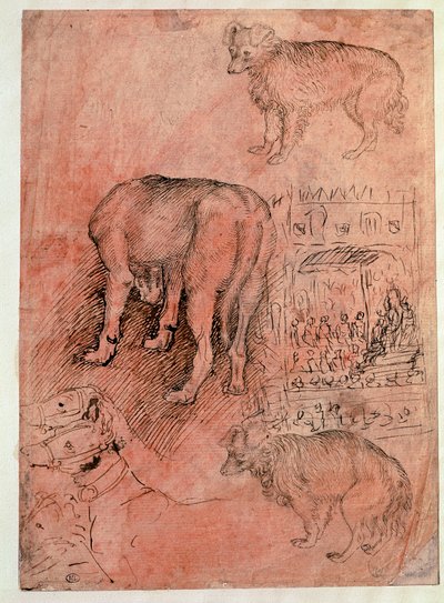 犬の研究。オーリック・エピソード。アントニオ・ピサーノ・ディット・イル・ピサネロ（1380-1455）のドローイング 作： Antonio Pisanello