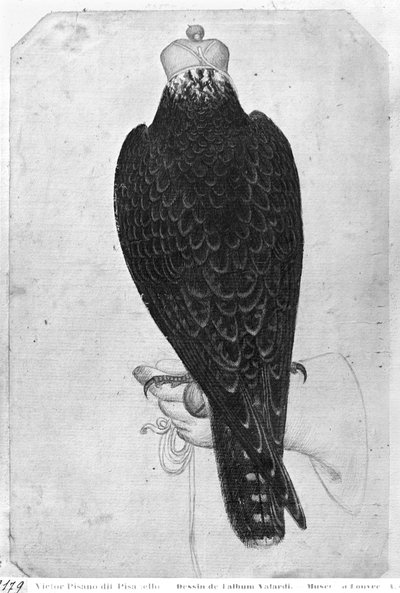 後ろから見た、Vallardiアルバムからの手持ちのタカ（紙とペンとインクとトイレ） 作： Antonio Pisanello