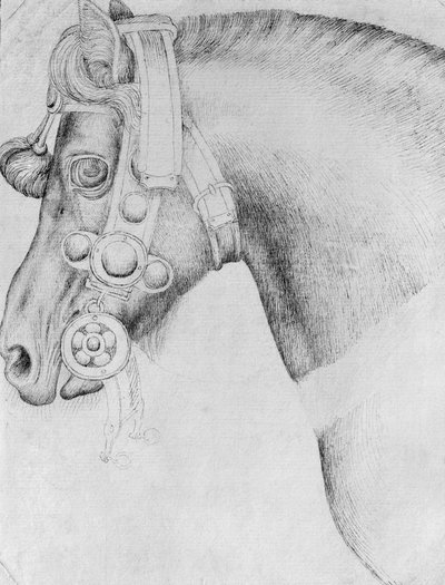 バジャルディアルバムの馬の頭 作： Antonio Pisanello