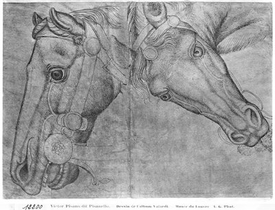 バジャルディアルバムの馬の頭 作： Antonio Pisanello