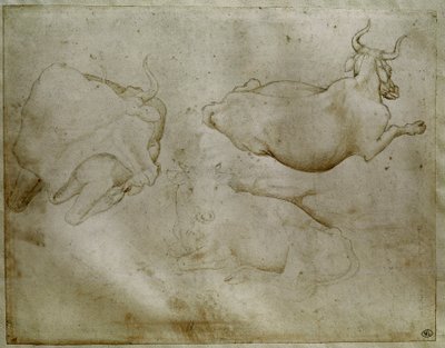 二頭の牛と一本のジュニパー。Antonio di Puccio Pisano dit Pisanello (1395-1455)によるドローイング。スクロール、金属製チップ。高さ17.6cm。ルーヴル美術館、メダイユ・キャビネット 作： Antonio Pisanello