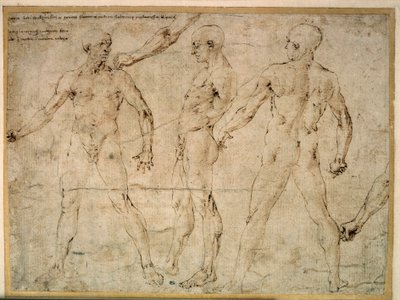 三人の裸の男。アントニオ・ポライオーロ（ポライオーロ）（1432-1498）のドローイング 作： Antonio Pollaiuolo