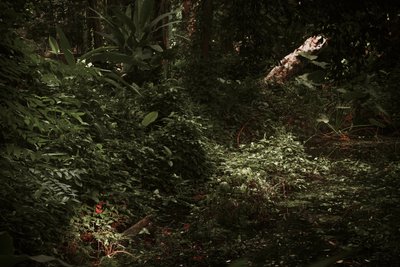 光と影、2025年（デジタル写真） 作： Antonio Schubert