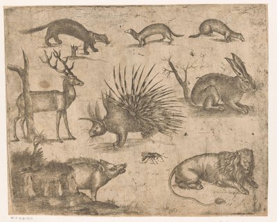 さまざまな動物の学習シート 作： Antonio Tempesta (attributed to)