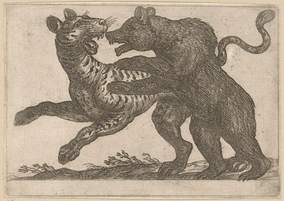 トラと戦うクマ 戦う動物（シリーズタイトル） 作： Antonio Tempesta
