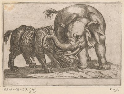 サイがゾウと戦う 戦う動物（シリーズタイトル） 作： Antonio Tempesta