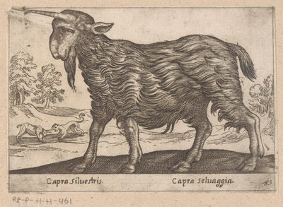 1 つの角を持つヤギ Capra Silvestris/ Capra Selvaggia (オブジェクトのタイトル) Dieren en fablewezens (シリーズのタイトル) 世界で最も好奇心旺盛な動物の新しいコレクション (シリーズ タイトル) 作： Antonio Tempesta