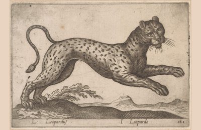 ヒョウ L Leopardus/ I Leopardo (オブジェクトのタイトル) Dieren en fablewezens (シリーズのタイトル) 世界で最も好奇心旺盛な動物の新しいコレクション (シリーズ タイトル) 作： Antonio Tempesta