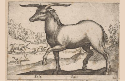 角のある馬 Eale/ Eale (オブジェクトのタイトル) 動物と伝説の生き物（シリーズタイトル） Nova raccolta de li animali piu curiosi del mondo (シリーズタイトル) 作： Antonio Tempesta