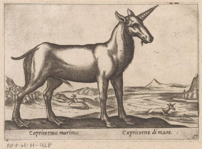 海の動物としての山羊座 Capricornus marinus/ Capricorno di mare (オブジェクトのタイトル) 動物と伝説の生き物（シリーズタイトル） Nova raccolta de li animali piu curiosi del mondo (シリーズタイトル) 作： Antonio Tempesta