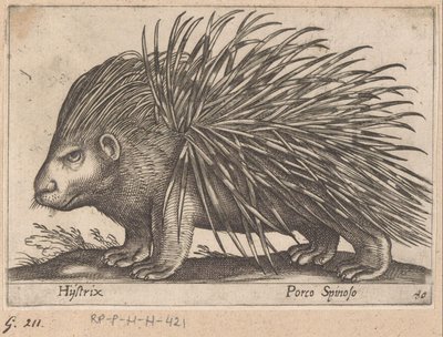 ヤマアラシ Hijstrix/ Porco Spinoso (オブジェクトのタイトル) 動物と伝説の生き物（シリーズタイトル） Nova raccolta de li animali piu curiosi del mondo (シリーズタイトル) 作： Antonio Tempesta