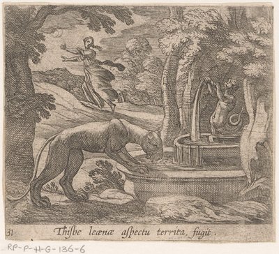 Thisbe vlucht voor the leeuwin by the bron Thisbe 領域の側面 fugit (オブジェクトのタイトル) 変身と変身（連載タイトル） The Metamorphoses of Ovid (シリーズタイトル) 作： Antonio Tempesta
