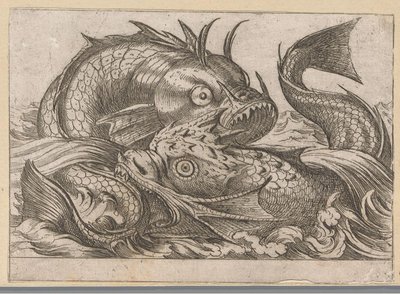 二匹の闘魚 戦う動物（シリーズタイトル） 作： Antonio Tempesta