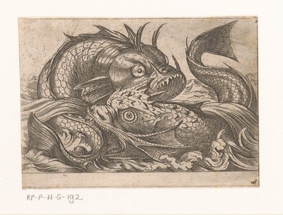 二匹の闘魚 戦う動物（シリーズタイトル） 作： Antonio Tempesta
