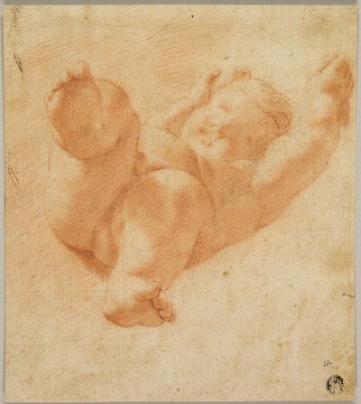 短縮されたプット 作： Antonio da Correggio