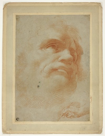 男性の頭とスタイラスを保持している右手のスケッチ 作： Antonio da Correggio