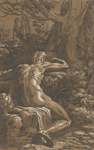 水仙の後ろから見た座っている男性、カリフォルニア州。 1527-30。 作： Antonio da Trento