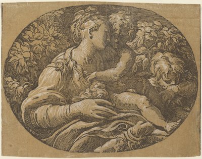 薔薇を持つ聖母 作： Antonio da Trento after Parmigianino
