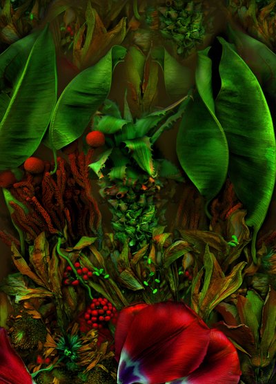 2025年アンデルスヴェルトNo.22-2（写真） 作： Antonius Antonius