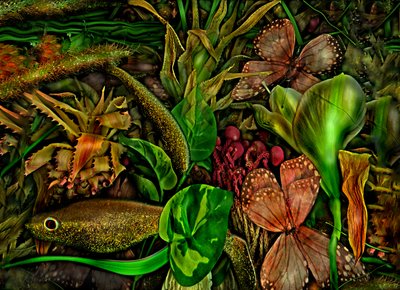 2015年アンデルスヴェルトNo.3-5（写真） 作： Antonius Antonius