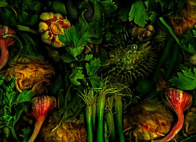  作： Antonius Antonius