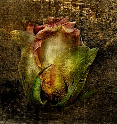 アートフローラル -55 作： Antonius Antonius