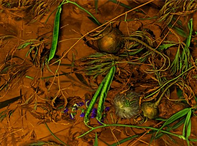 アースアートno.2、2014年（写真） 作： Antonius Antonius