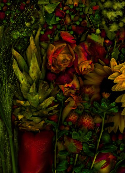  作： Antonius Antonius