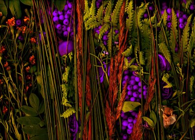  作： Antonius Antonius