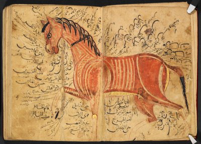 アズディー、アマド・イブン・アティーク作「キターブ・アル・バイタラ」より馬 作： Arabic School