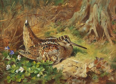 ヤマシギとひよこ 作： Archibald Thorburn