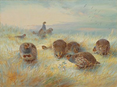 冷ややかな夜明け 作： Archibald Thorburn