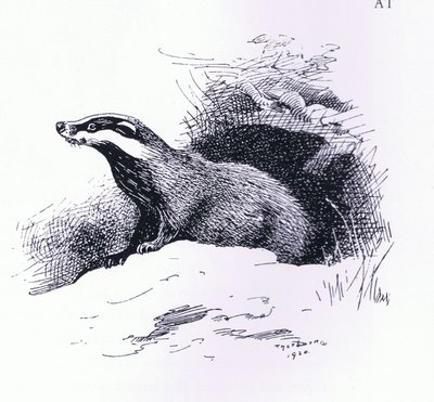 バッジャー、ブッククラブアソシエイツ発行 作： Archibald Thorburn