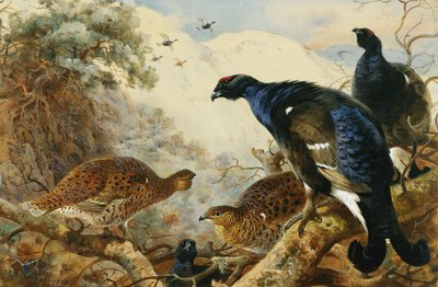 ブラックゲーム 作： Archibald Thorburn