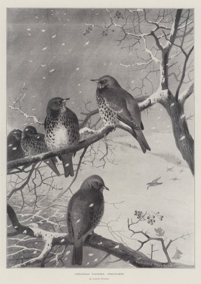 クリスマスの訪問者、フィールドフェア 作： Archibald Thorburn