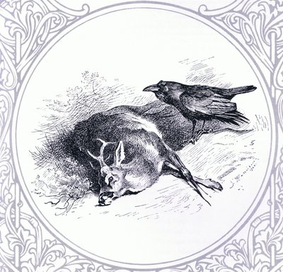 鹿と鴉」（ブッククラブアソシエイツ刊 作： Archibald Thorburn